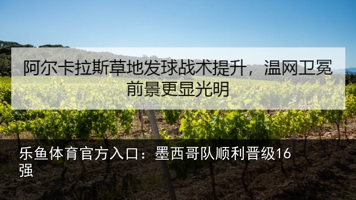 乐鱼体育官方入口：墨西哥队顺利晋级16强