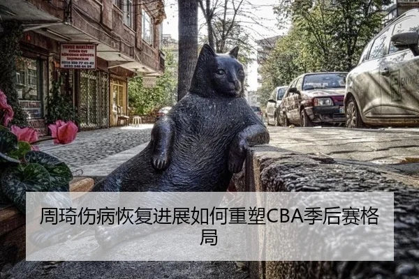 周琦伤病恢复进展如何重塑CBA季后赛格局