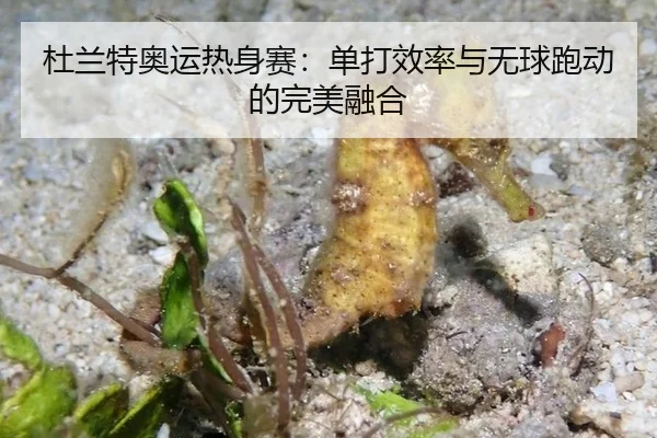 du-lan-te-ao-yun-re-shen-sai-dan-da-xiao-lv-yu-wu-qiu-pao-dong-de-wan-mei-rong-he-3-873.jpg