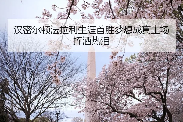 han-mi-er-dun-fa-la-li-sheng-ya-shou-sheng-meng-xiang-cheng-zhen-zhu-chang-hui-sa-re-lei-2-496.jpg